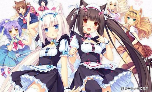 兩款藏品級(jí)的galgame,沒(méi)玩過(guò)還敢說(shuō)自己是二次元