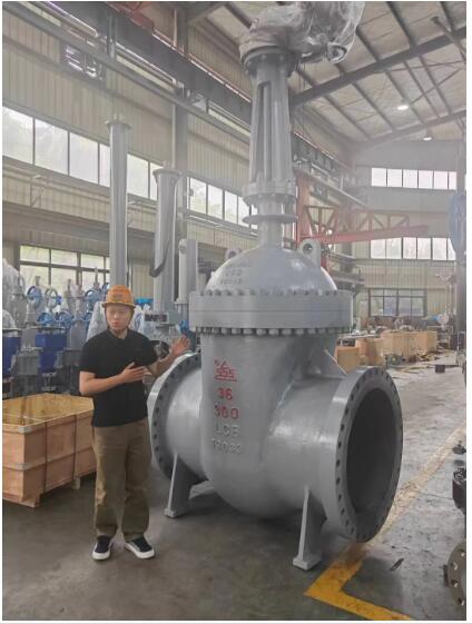 行走閥門江湖數(shù)十載！挺宇流體智能化新工廠預(yù)計2026年10月投入使用，開啟文化傳播新篇章